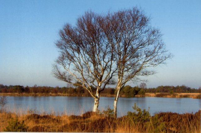 Kleiner Huvenhoop