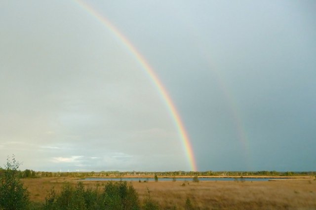 Regenbogen